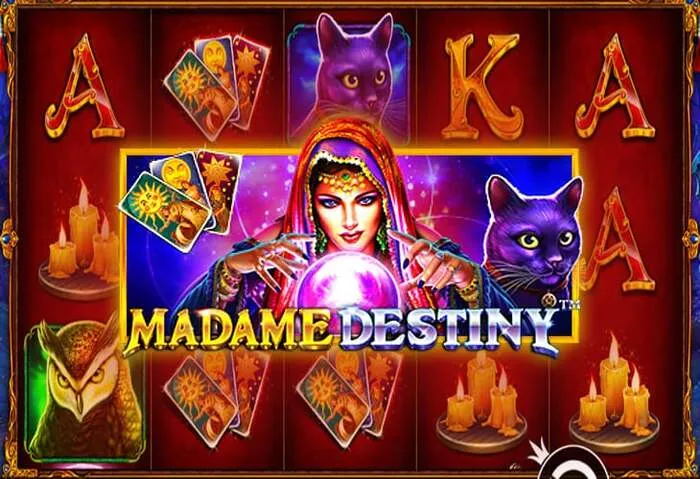 Experimente o 1xSlots Casino Download: Caça-níqueis e cassino ao vivo no seu dispositivo.